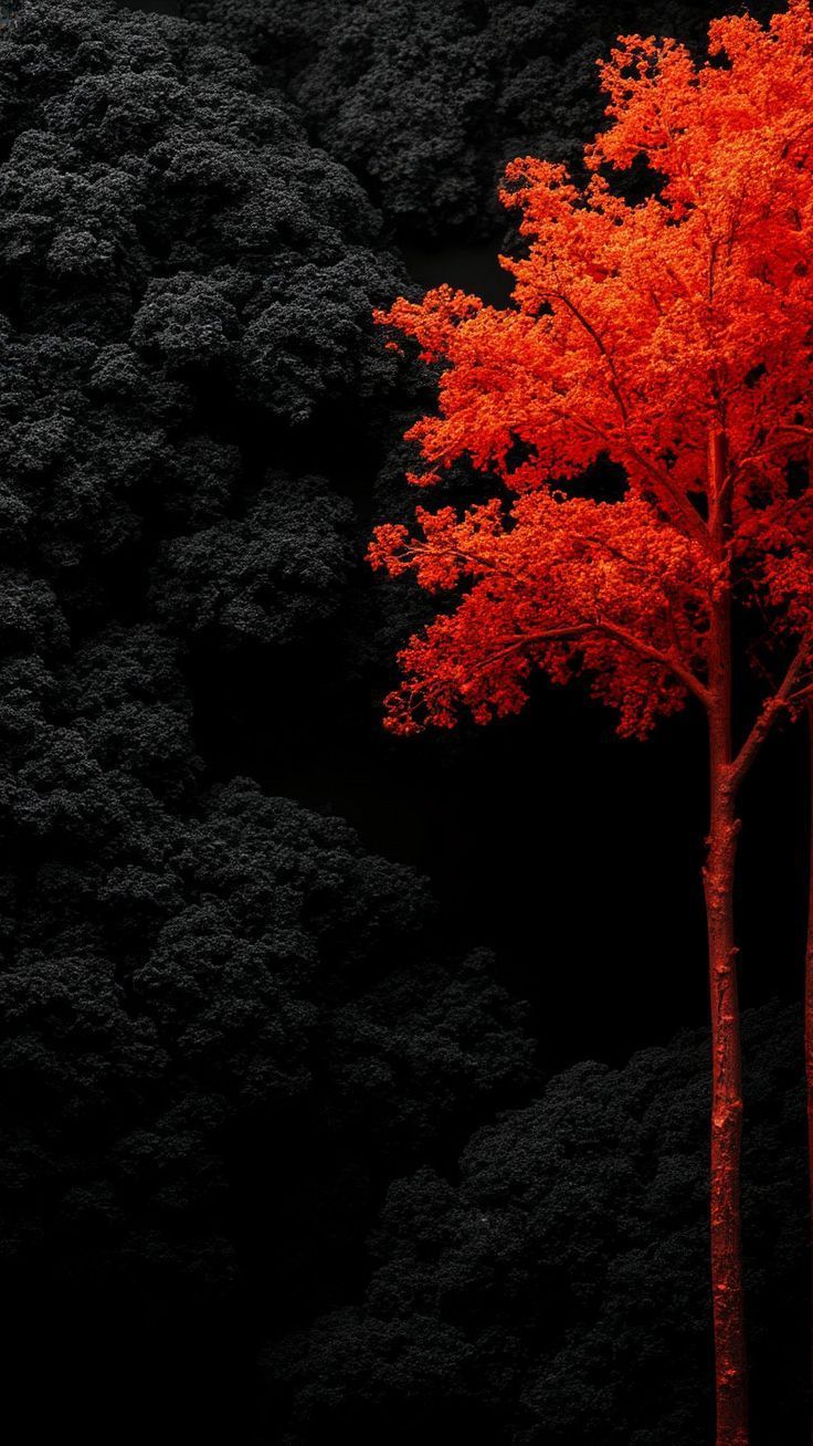 Abstract 10 — nature wallpaper